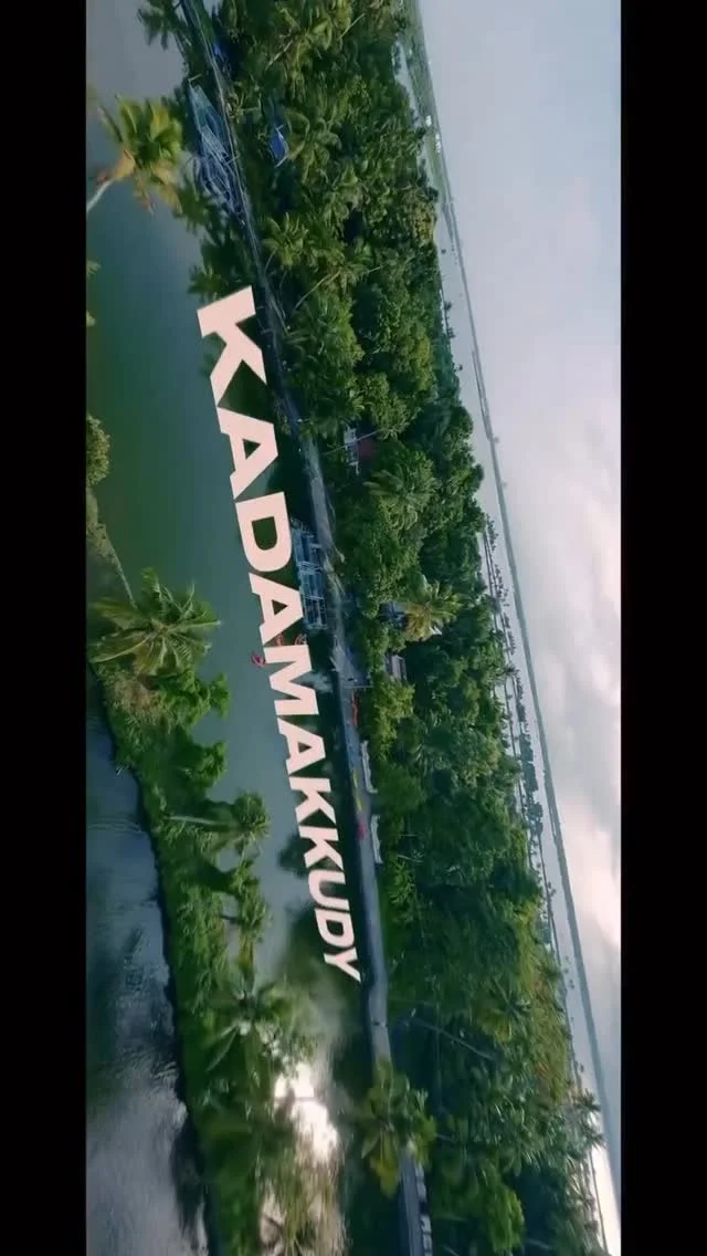 Aerial view of mangrove channels Kadamakkudy
