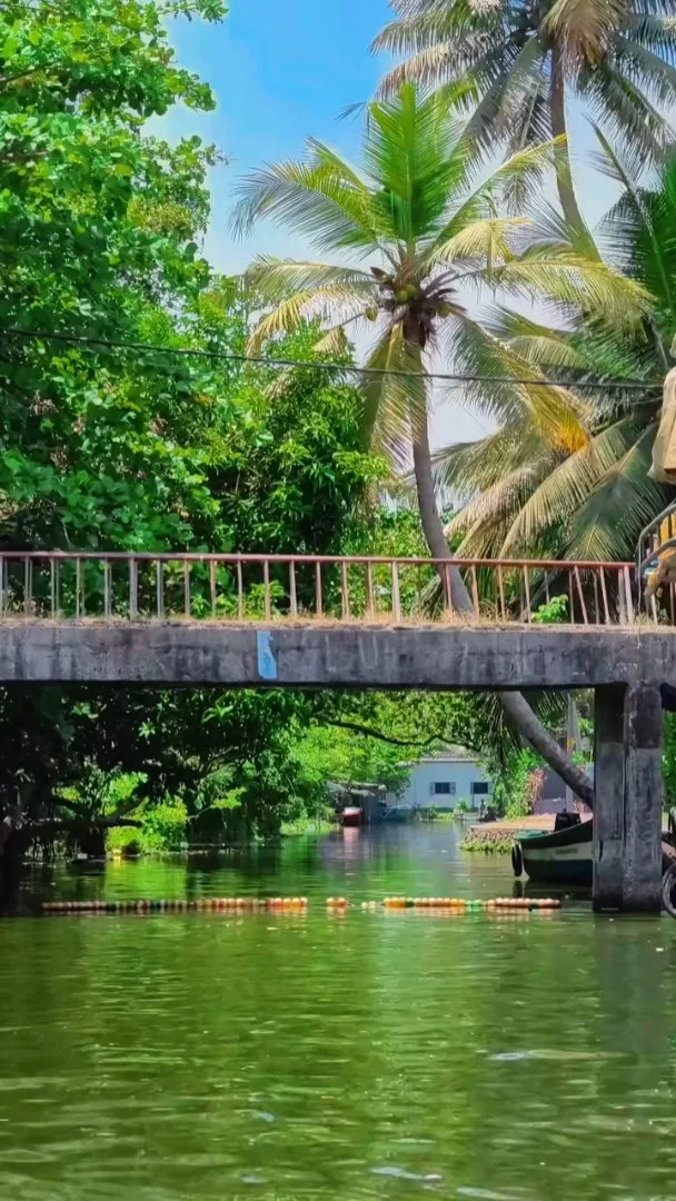 Long kayak route on Vembanad lagoon