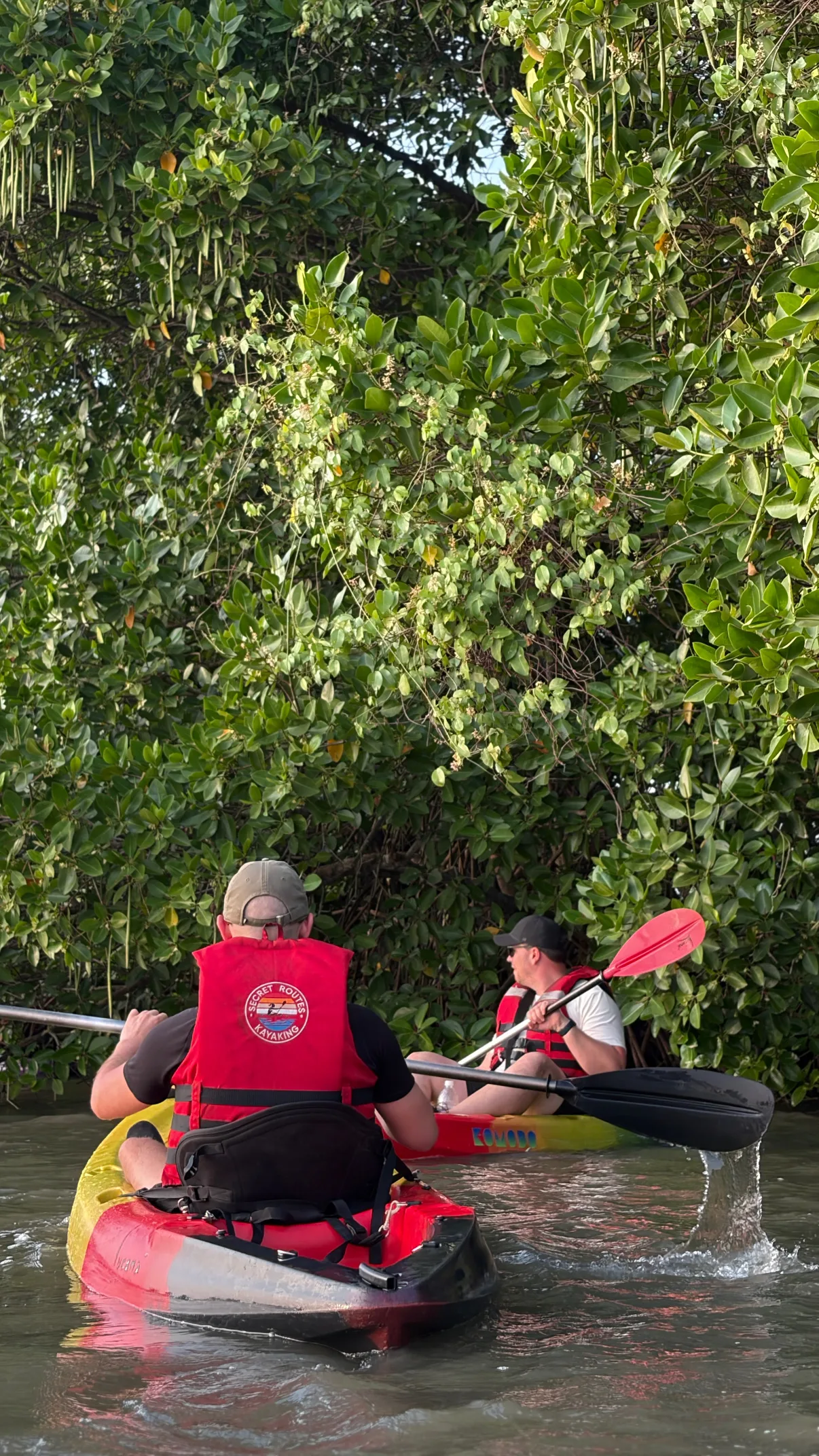 Happy family kayaking together on calm Kadamakkudy waters